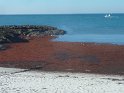 2015-10-01 11-05-25 St Gildas - Chateau de Suscinio MBo